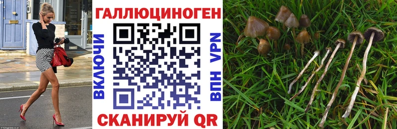 Купить закладки  Нурлат  Псилоцибиновые грибы прущие грибы 