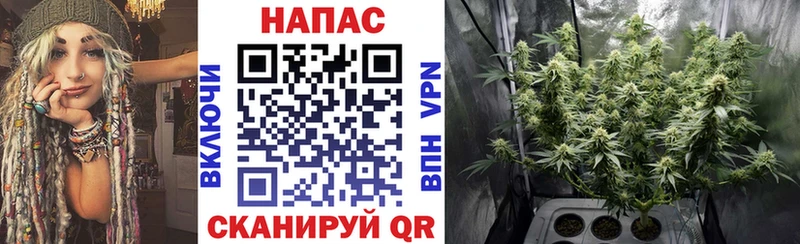 Купить  Нурлат  Бошки марихуана планчик 
